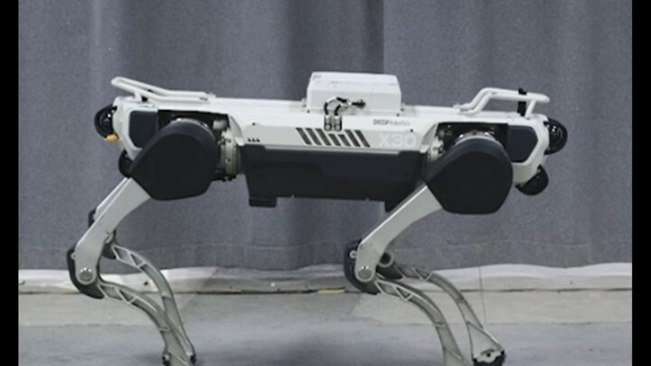 Buồn quá, giờ tôi lại bị con chó robot lừa rồi