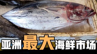 十斤生蚝只要23元?带你去亚洲最大的海鲜市场看看