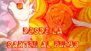 Desde La Sarten Al Fuego // Warrior Cat OC Animation