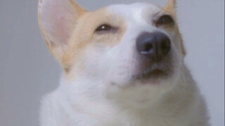 When you picked me up back then, you didn’t mention your family situation was so complicated!