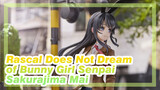 [Rascal Does Not Dream of Bunny Girl Senpai] Sakurajima Mai, Unboxing