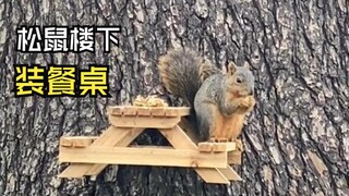 Đến giờ ăn của những con vật này rồi!