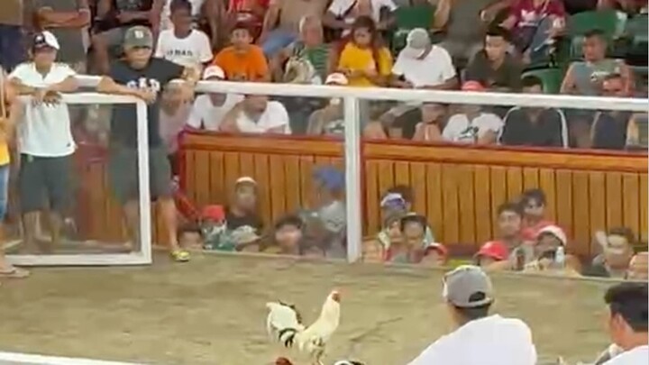 2nd fight win 2hits Ulutan @LDB SPORTS ARENA