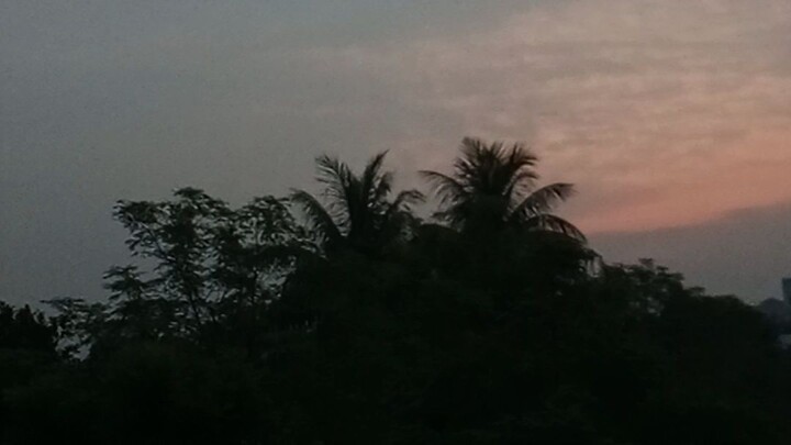 শুভ সকাল I love you