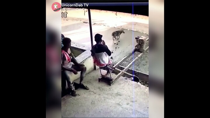 Khi bạn làm đường mà không coi ngày