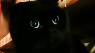 Let me show you how hard it is for me to shoot a video!