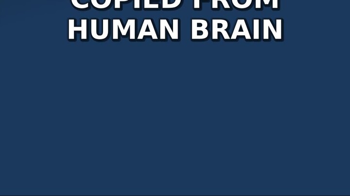 Why SpiNNaker Copies Human Brain