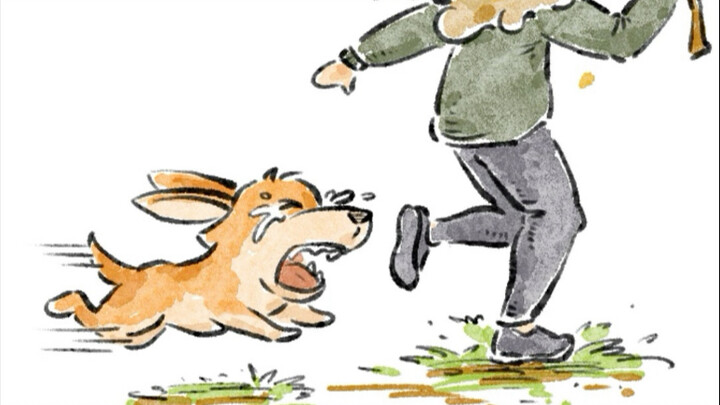 Little Corgi: Give it back to me!!!