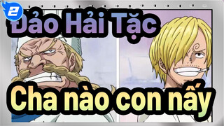 [Đảo Hải Tặc] Cha nào con nấy_2