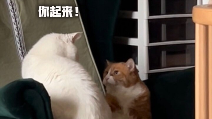 An “old man” and an “old woman” got into a fierce brawl over seating in a public place. When their r