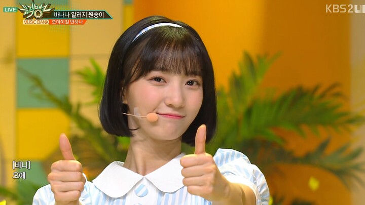 【4K LIVE】Oh My Girl Banhana – Banana Allergy Monkey (180406 KBS2 UHD Music Bank)