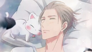 Kucing sombong x pemilik alaminya bodoh