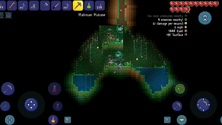 Terraria getting a sword