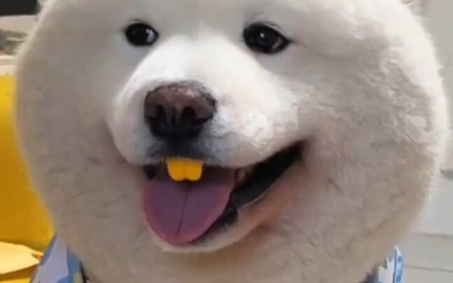 Nailing it (ง °Θ°)ว