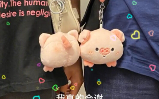 My girlfriend bought some super weird keychains! I’m really at a loss!