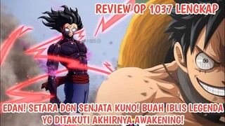 REVIEW OP 1037 LENGKAP! SETARA DGN SENJATA KUNO! AWAKENING DF LEGENDARIS YG DITAKUTI OLEH IM SAMA!