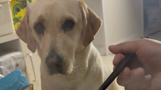 Hanya kamu yang bisa melindungi makanan? Kamu pikir aku ini apa?