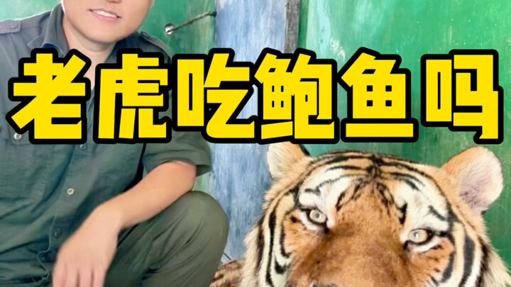 เสือที่เคยกินล็อบสเตอร์และเป๋าฮื้อมีไม่กี่ตัวหรอกนะ