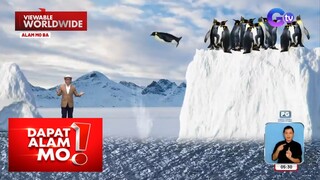 Pagtalon ng mga baby penguin sa ice cliff sa Antarctica, nakuhanan ng video | Dapat Alam Mo!