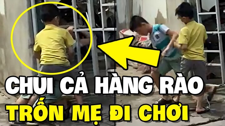 Cậu bé chui hàng trốn mẹ đi chơi được anh em trợ giúp | TIN GIẢI TRÍ