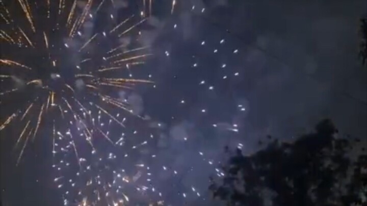 Firework display/4k view