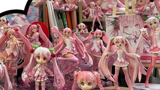 When I put out all the Sakura Miku figures...