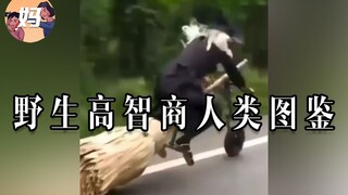 【野生人类图鉴】这波操作直接给我喂饱