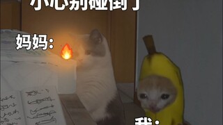 عندما كنت طفلاً، كانت الليالي التي ينقطع فيها التيار الكهربائي دائمًا طويلة وسعيدة.