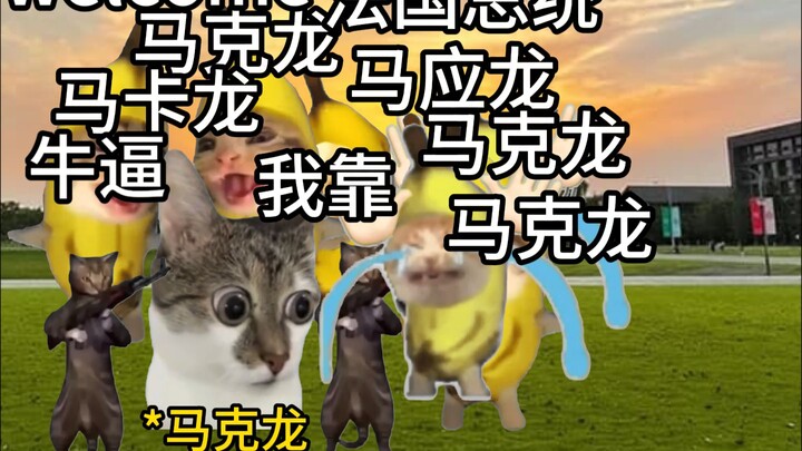 كل مرة أسمع فيها "يا إلهي"، يتردد في أذني وكأنه "مرحبًا"!