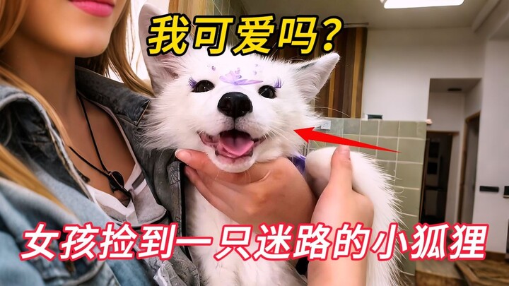 Cô gái nhặt được một chú cáo trắng con bị lạc giữa thiên nhiên hoang dã, nó đã mang lại bao tiếng cư