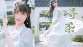 【灯果】寻茶✿寻着茶香来，任风月婆娑
