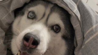 能怎么办一点办法没有