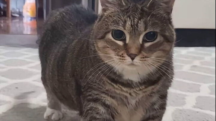 Standing there like that will have people talking about it for a lifetime.