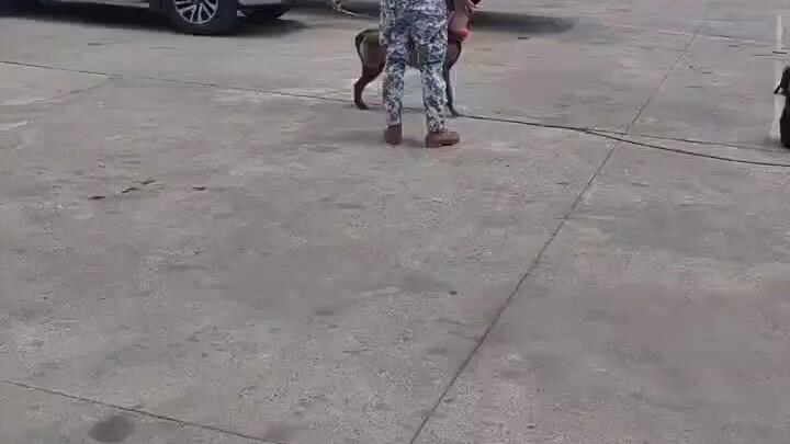 愿你也像美国总统特朗普一样，不惧任何危机和束缚，去做自己想做的任何事。