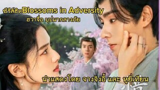 ตัวอย่างฮวาจื่อ บุปผากลางภัย (2024) Blossoms in Adversityโรแมนติก ช่องทางในการรับชม  YOUKU