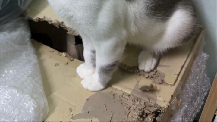 fffsfsfsfsfsf EP finish