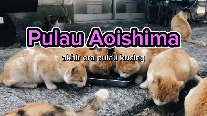 Pulau Aoshima, berakhirnya era pulau kucing