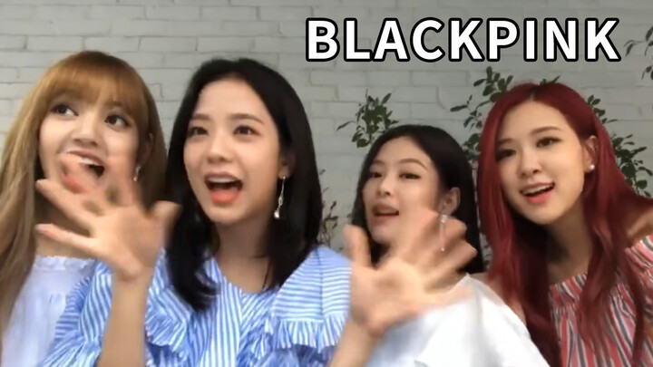 [BLACKPINK] "Wild Wolf disco" feat.BLACKPINK