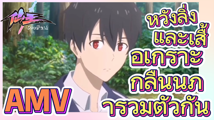 [ชีวิตประจำวันของราชาแห่งเซียน] AMV | หวังลิ่งและเสื้อเกราะกลืนนภารวมตัวกัน