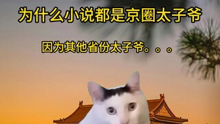 为什么小说都是京圈太子爷