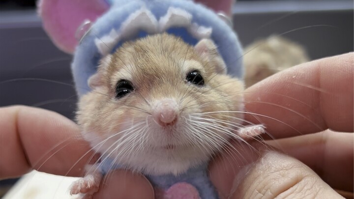 我受不了了…我要咬一口