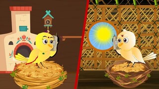 Rano Chidiya Wala Cartoon _ कार्टून चिड़िया _ NewTuni Achi Cartoon _ Hindi Kahan