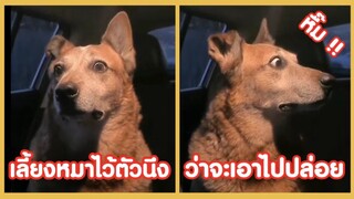 รวมคลิปตลกๆ : เมื่อเราจะเอาหมาไปปล่อย…อาการหมาก็จะประมาณนี้!!