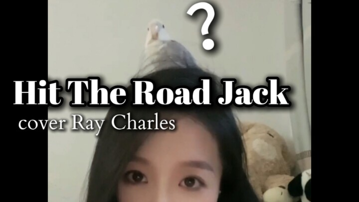 เอาเพลง Hit The Road Jack มาคัฟเวอร์ จนนกแก้วบ้านฉันเงียบไปเลย!