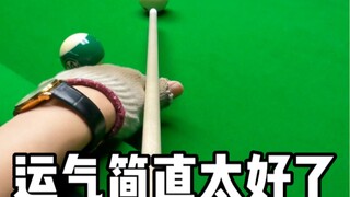 يا لها من حظ جيد!