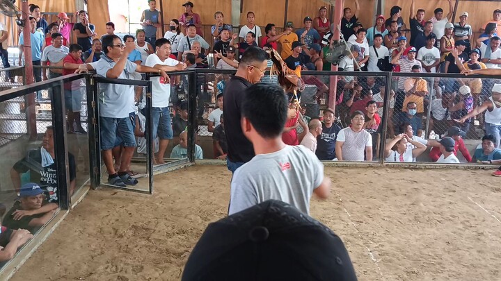 3hits ulotan talo ang 1st fight  LWW