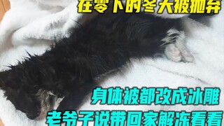 老爷子在外捡到了被冻成冰雕的小猫咪，抱回家解冻后奇迹般活了