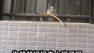 Seorang mama-san yang kompeten