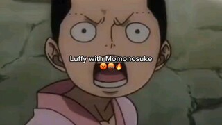 Luffy ngasuh momo & Otama😅