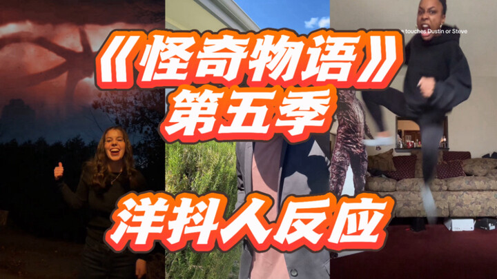 "Stranger Things" Season 5! A Collection of Post-Viewing Jokes from Western TikTok Users!